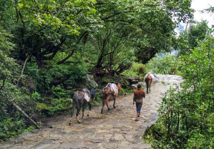 Hemkunt Sahib Sikh Yatra