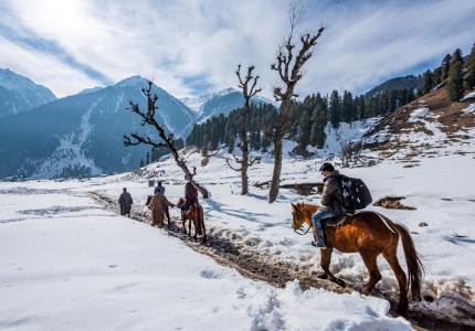 Taxi Hire from Kashmir