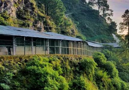 Taxi Hire from Katra