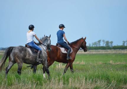 Amritsar to Dalhousie & Dharamshala Tour